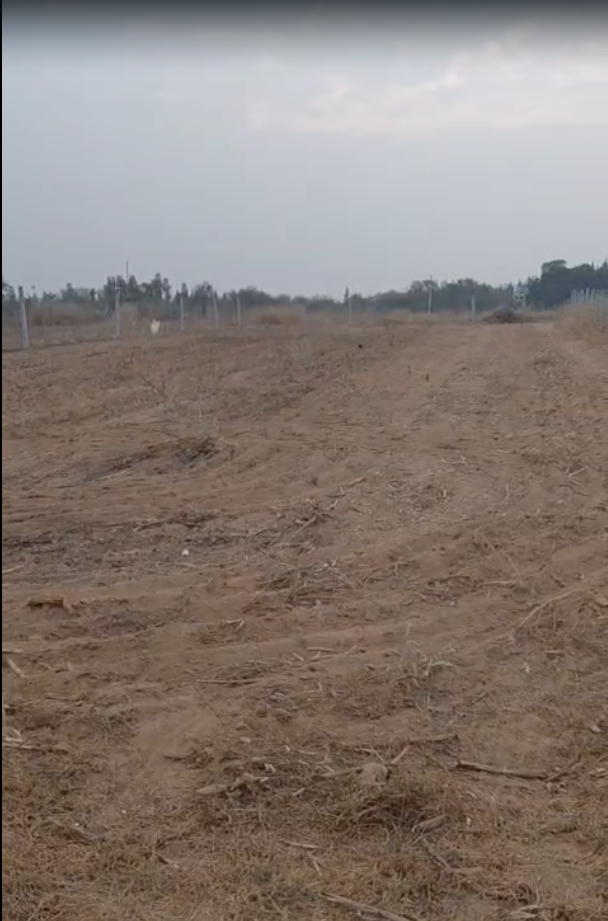 10 GUNTAS LAND FOR SALE