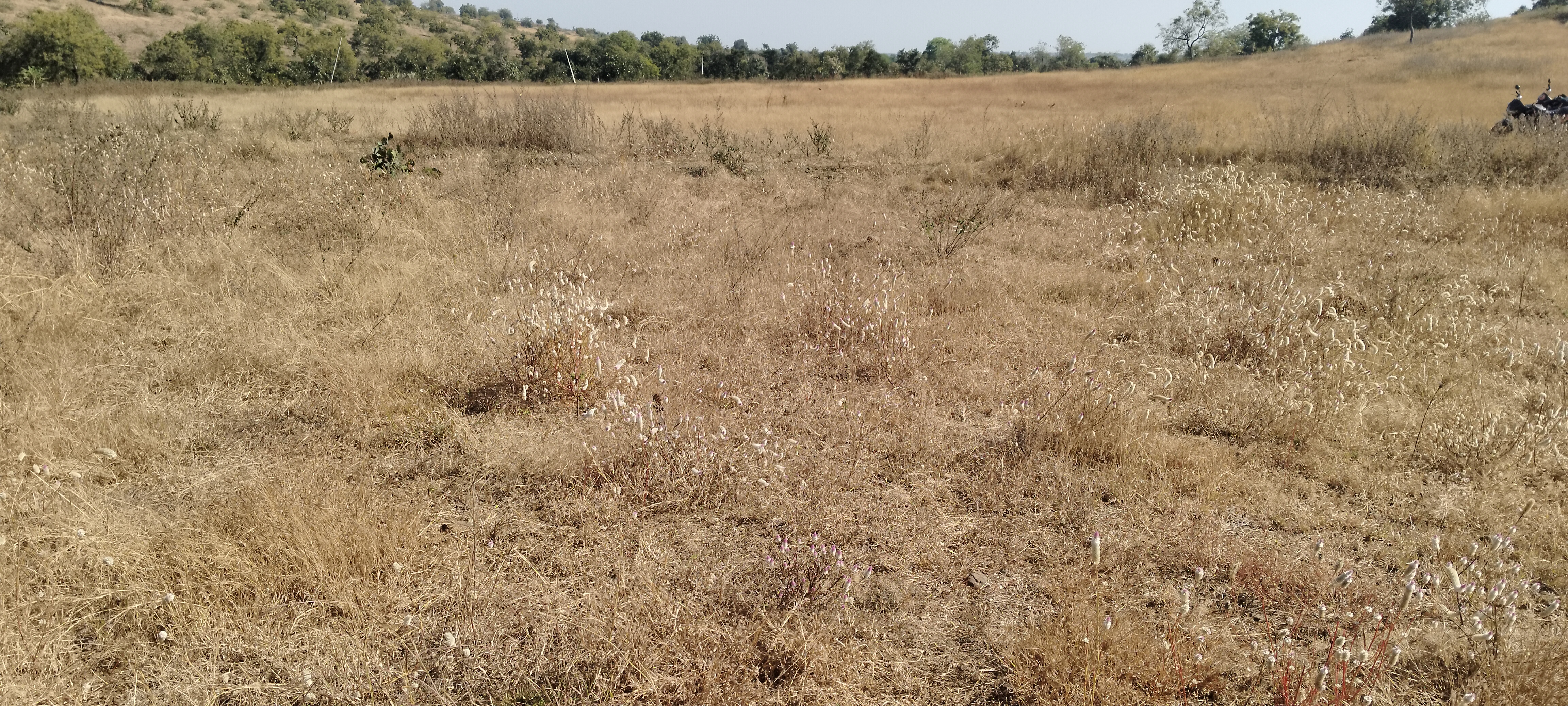 Agrikalcher land for sell